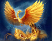 Аватар для Phoenix
